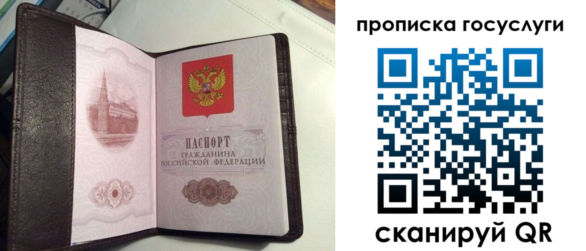 временная прописка в Михайловке